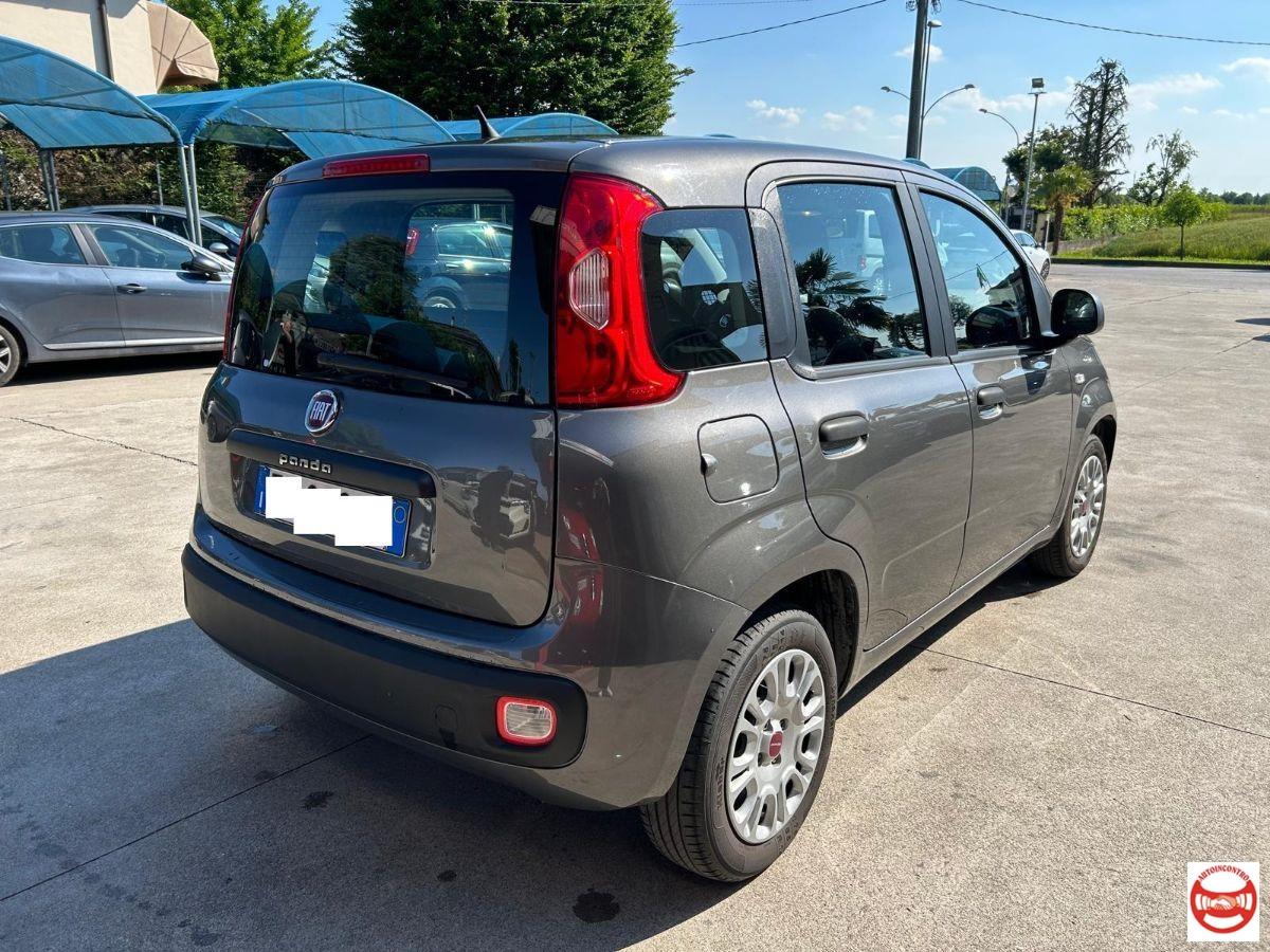 FIAT - Panda 1.2 Easy easypower Gpl 69cv my19