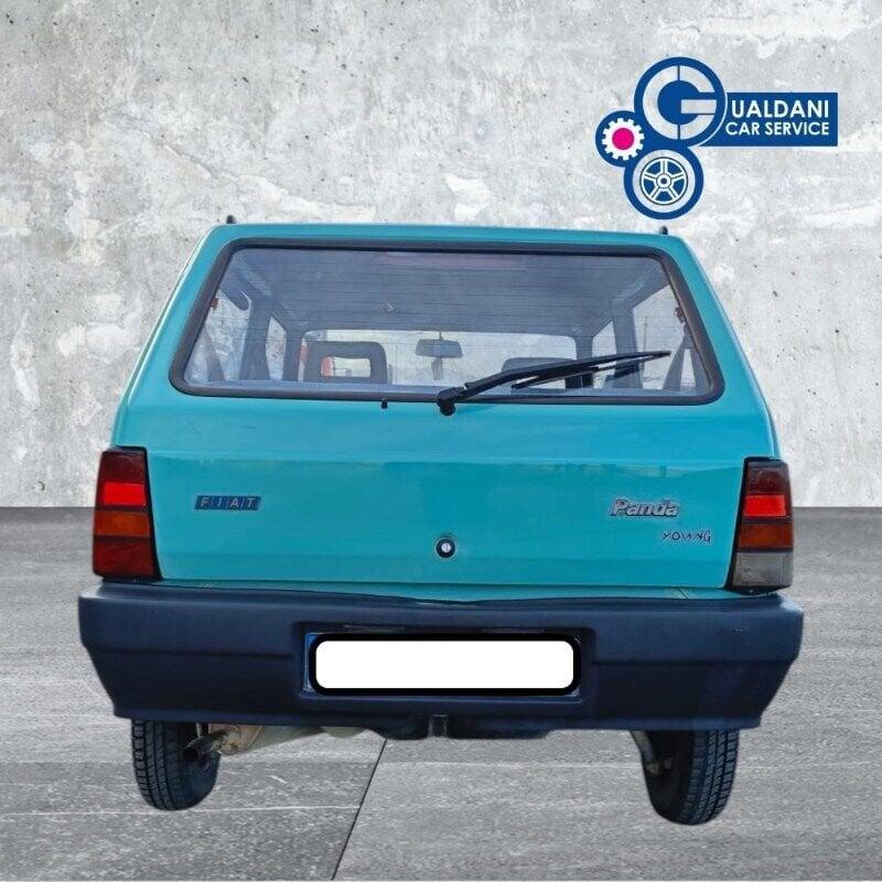 FIAT Panda 1100 i.e. cat Young