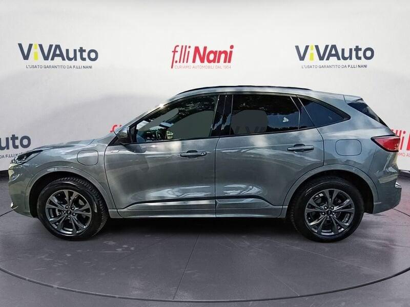 Ford Kuga 2.5 Benzina PHEV 225CV 2WD ST-Line Aut