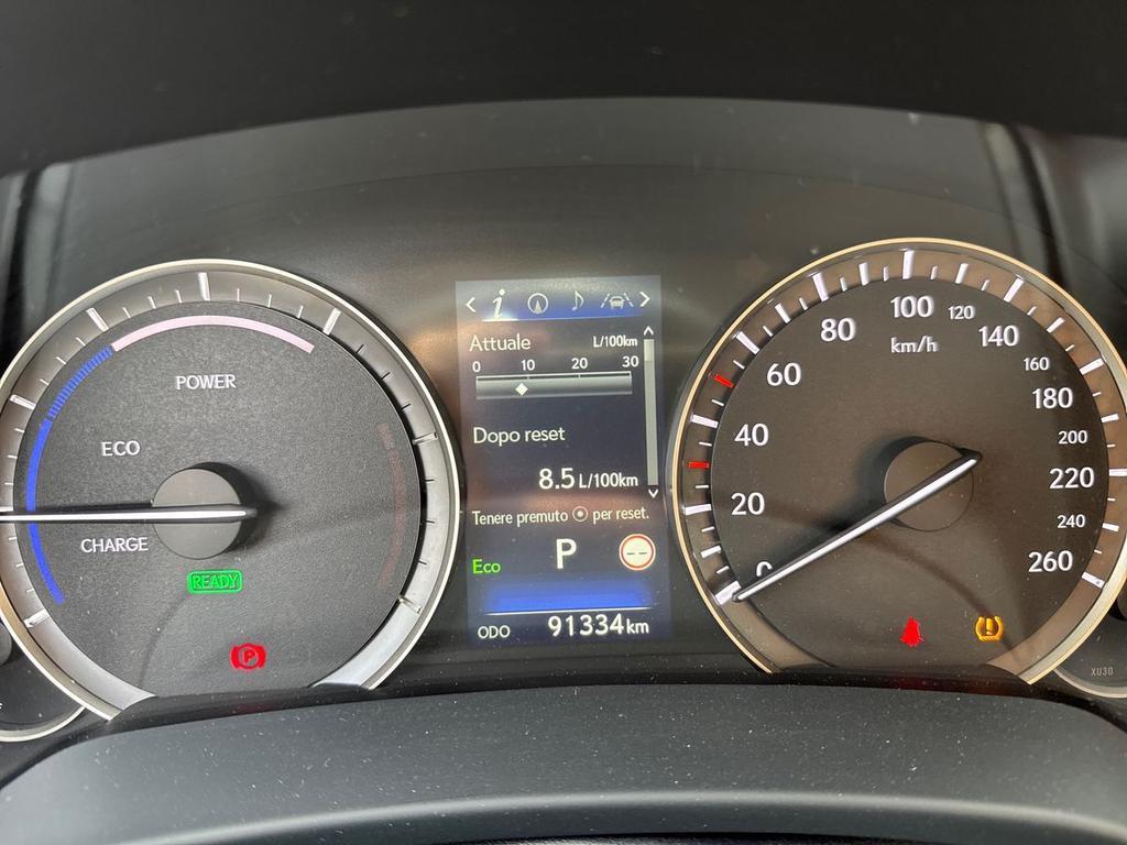 Lexus RX 450h 3.5 Executive 263cv cvt