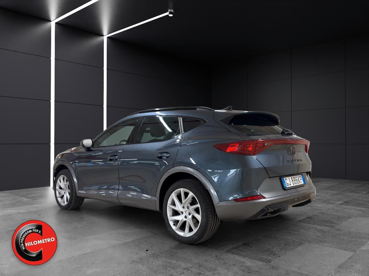 Cupra Formentor 2.0 TDI