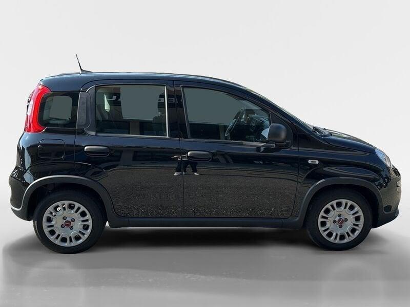FIAT Panda Panda 1.0 FireFly S&S Hybrid City Life