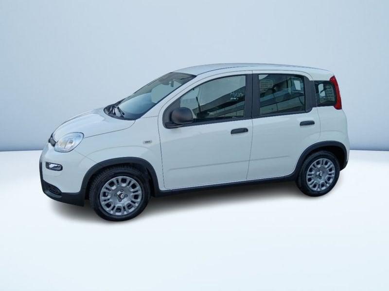 FIAT Panda 1.0 70CV HYBRID