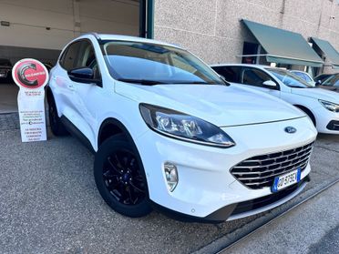 Ford Kuga 1.5 EcoBlue 120 CV aut. 2WD Titanium