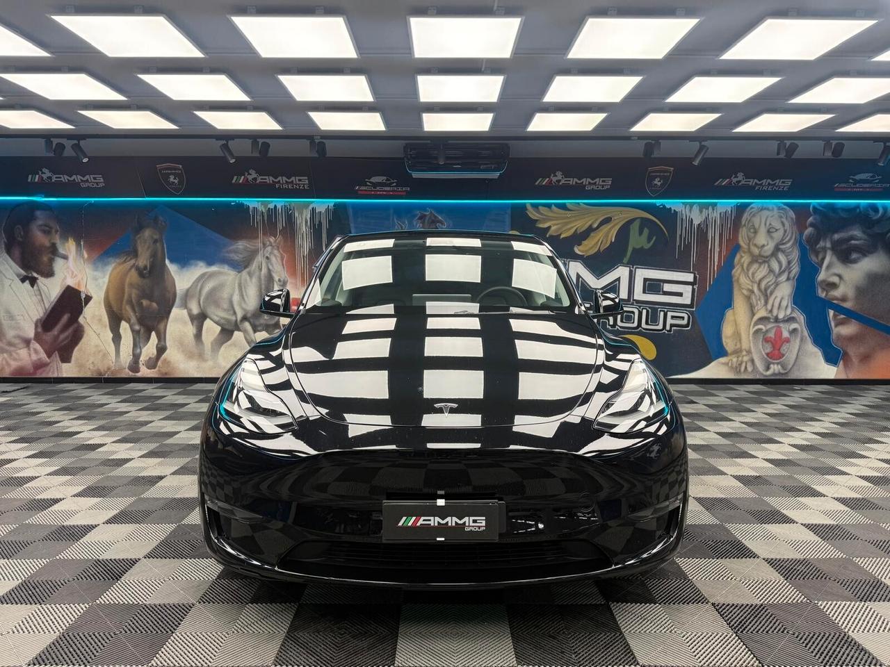 Tesla Model Y Long Range AWD (629)