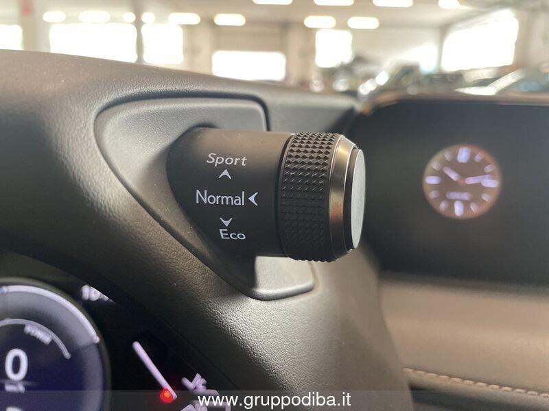Lexus UX 2019 250h 2.0 Premium 2wd cvt my20