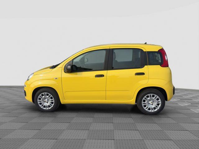 FIAT Panda Pandina 1.0 FireFly 65 CV Hybrid Pop