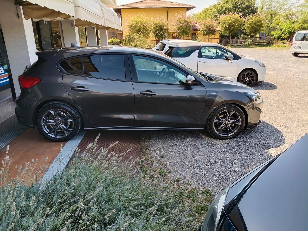 Ford Focus 1.0 EcoBoost Hybrid 125 CV 5p. ST-Line
