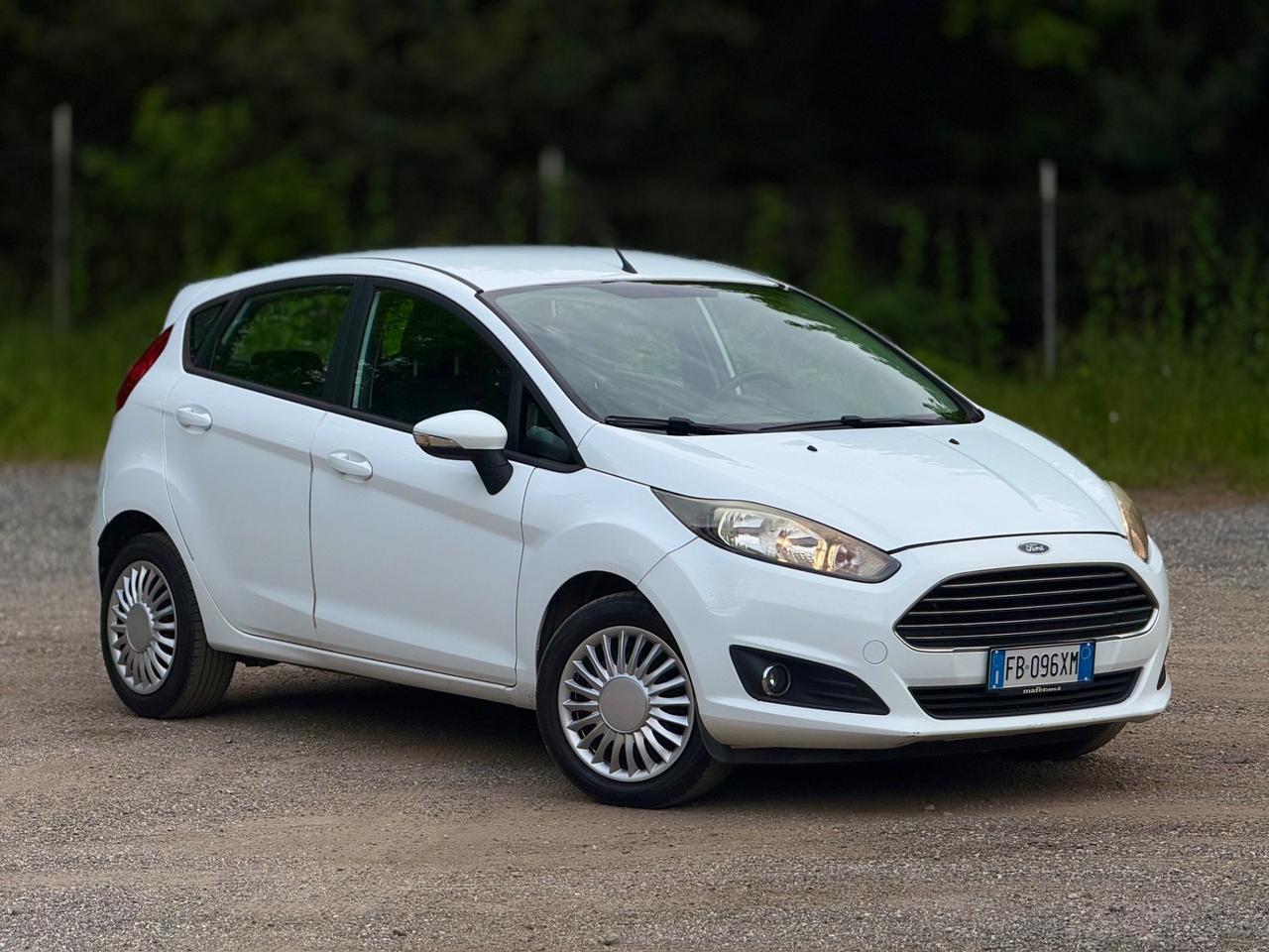 Ford Fiesta 1.4 5 porte Bz.- GPL Black & White Edition