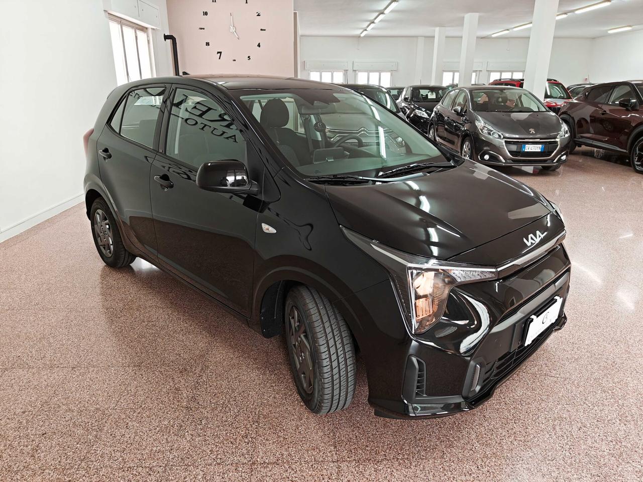 Kia Picanto 1.0 12V 5 porte Urban