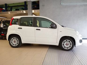 Fiat Panda 1.3 MJT S&S Easy Van 4 posti