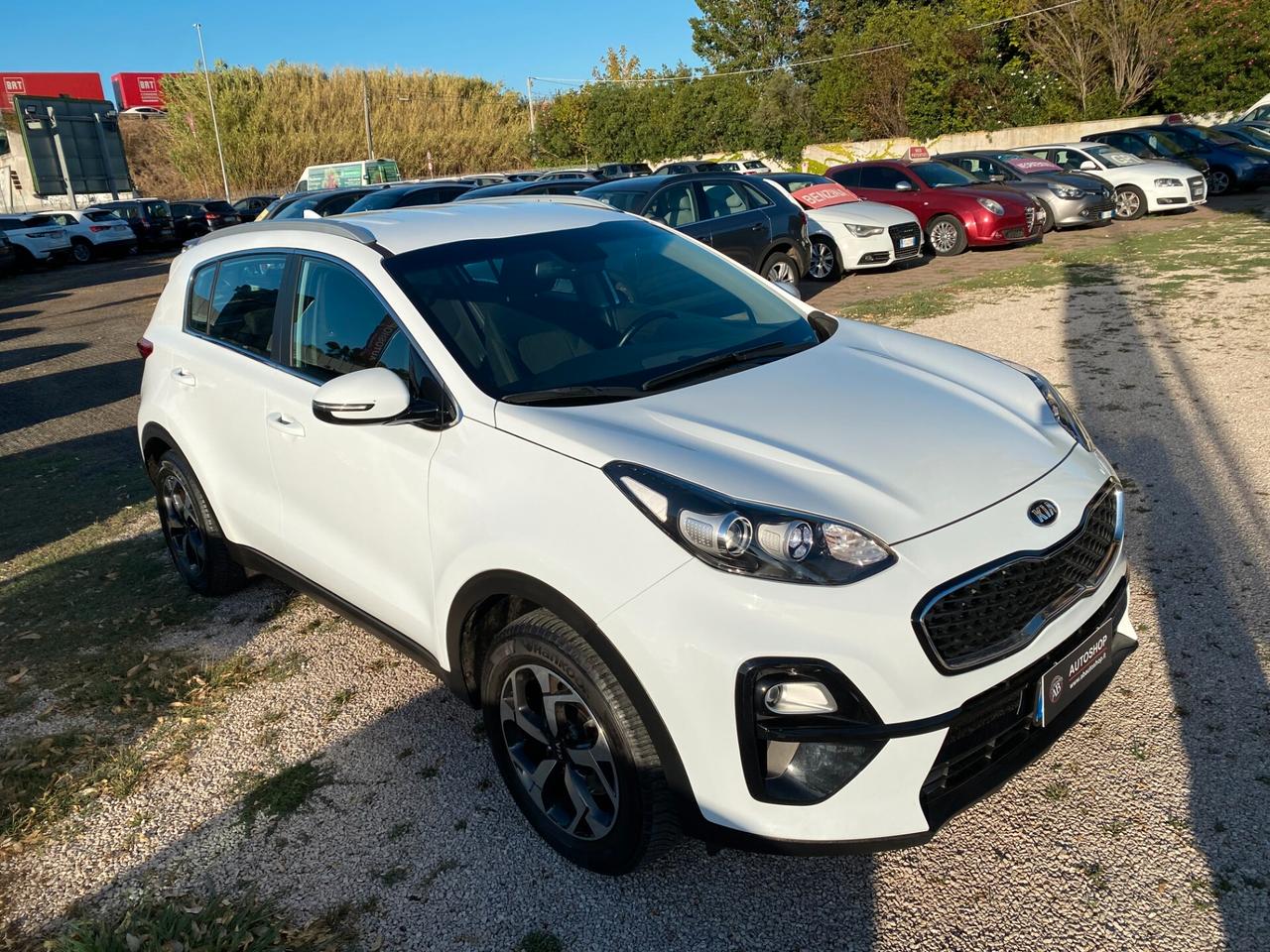 KIA - Sportage - 1.6 ECOGPL 2WD Business Class - FINANZIABILE - PERMUTE
