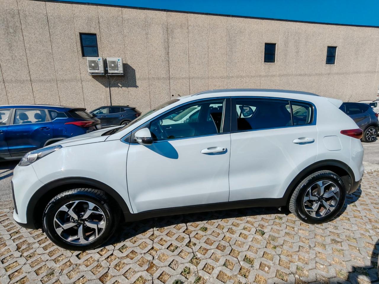 Kia Sportage 1.6 CRDI 115 CV 2WD Business Class