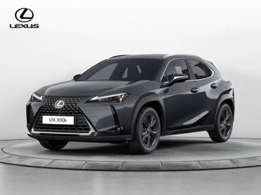 Lexus UX 300h Urban
