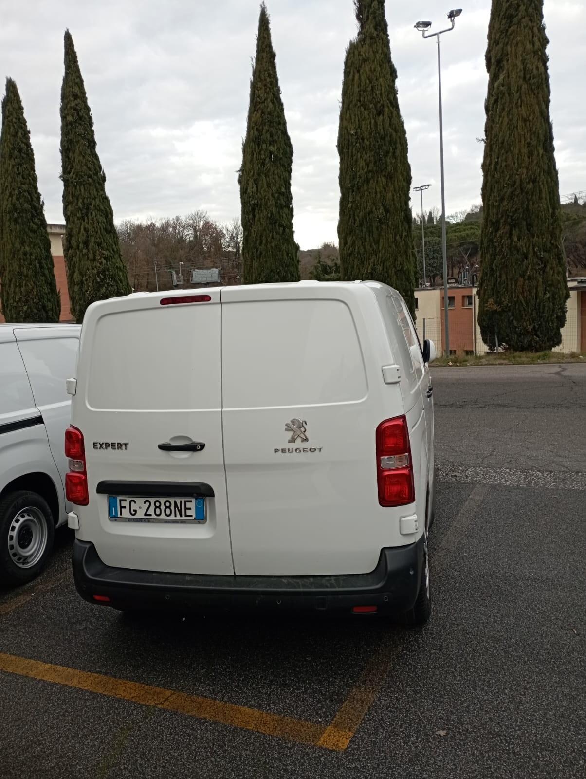 PEUGEOT Expert BlueHDi 115 S&S PC-TN Furgone Premium