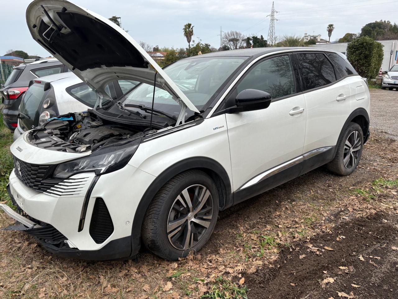 Peugeot 3008 Incidentata