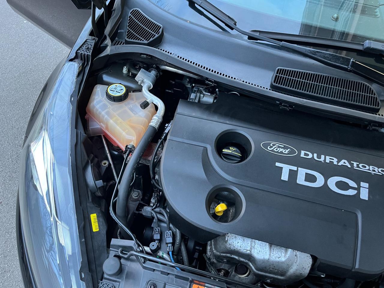 Ford Fiesta 1.5 TDCi 75CV 5 porte Business