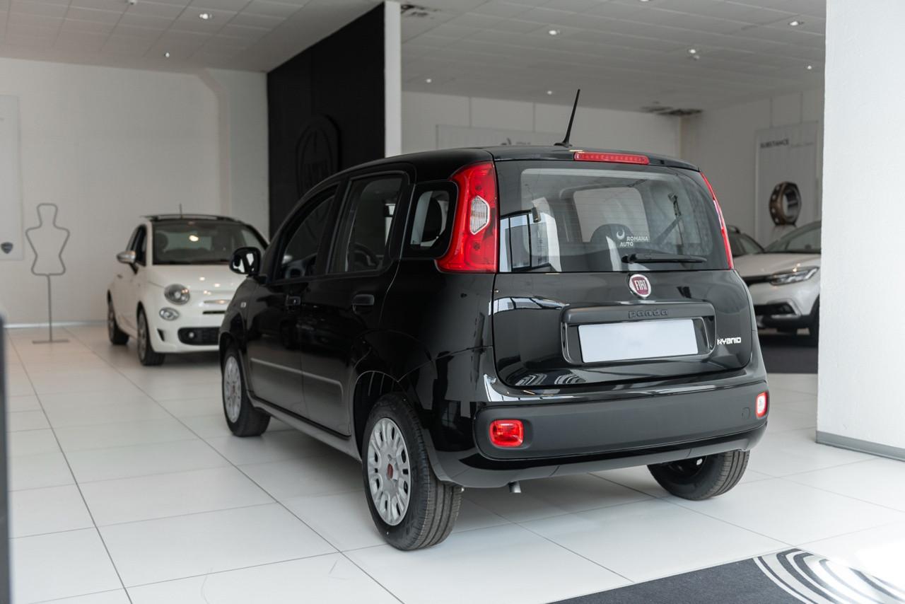 FIAT Panda III 2021 - Panda 1.0 firefly hybrid s&s 70cv