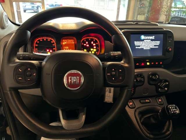 Fiat Panda Panda 1.0 firefly hybrid City Life s