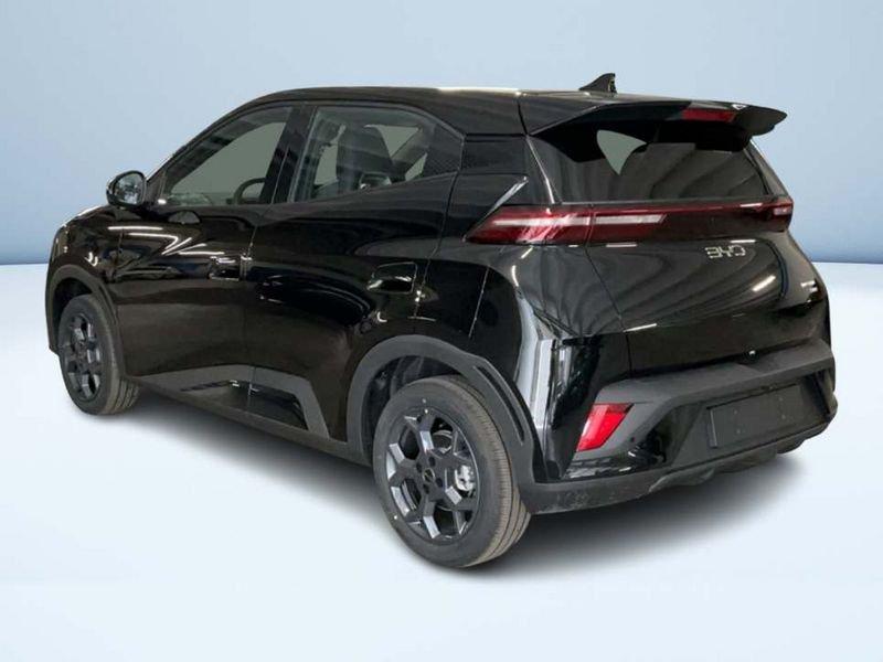 BYD Dolphin Surf Boost