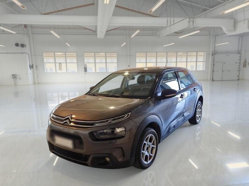 CITROEN C4 CACTUS 1.5 bluehdi Shine s/s 100cv