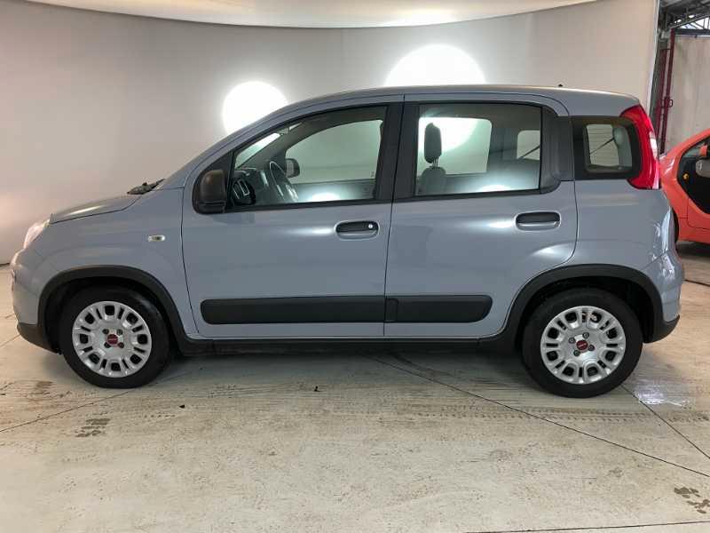 FIAT Panda III - Panda 1.0 firefly hybrid (Red) s&s 70cv