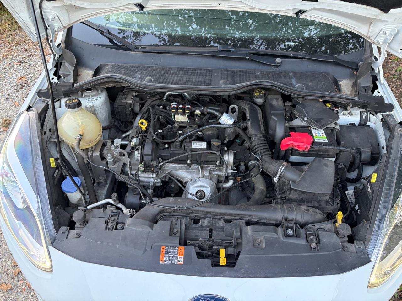 Ford Fiesta 1.1 GPL Titanium PROBLEMI TESTATA 2019