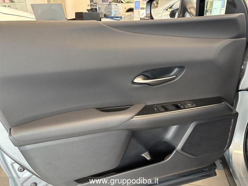 Lexus UX UX250H UX300H 2WD F-DESIGN MY24