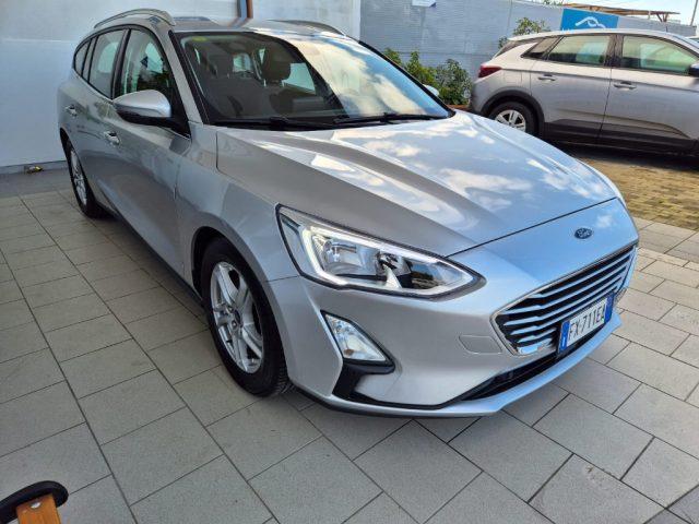 FORD Focus 1.5 EcoBlue 120 CV SW Business