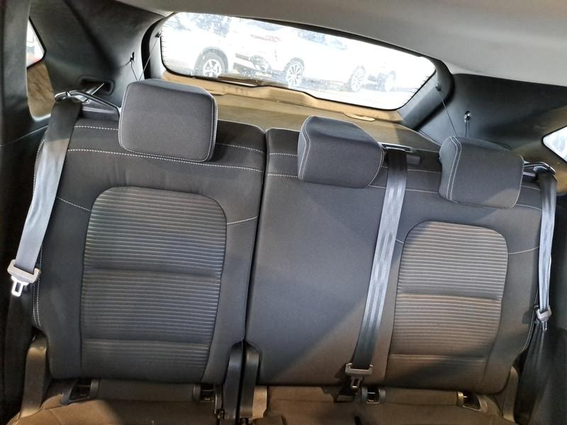 FORD KUGA 1.5 EcoBlue 120CV 2WD Titanium Business Auto