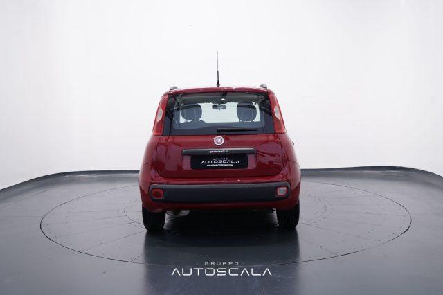 FIAT Panda 1.2 69cv Easy