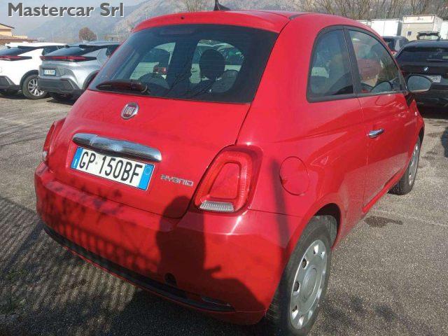 FIAT 500 NEOPATENTATI 500 1.0 hybrid 70cv TG : GP150BF