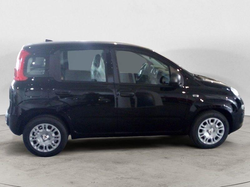 FIAT Panda NEW My25 1.0 70cv Hybrid Panda