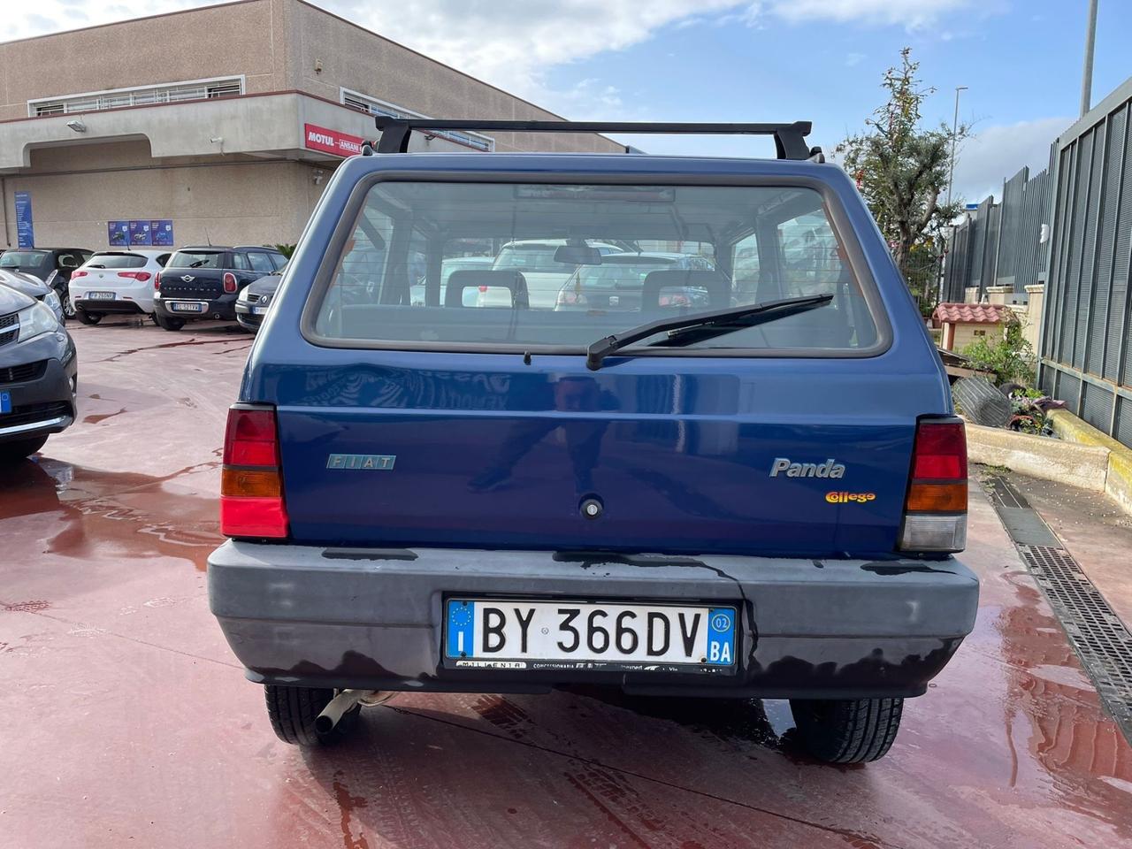 Fiat Panda 1100 i.e. cat Young