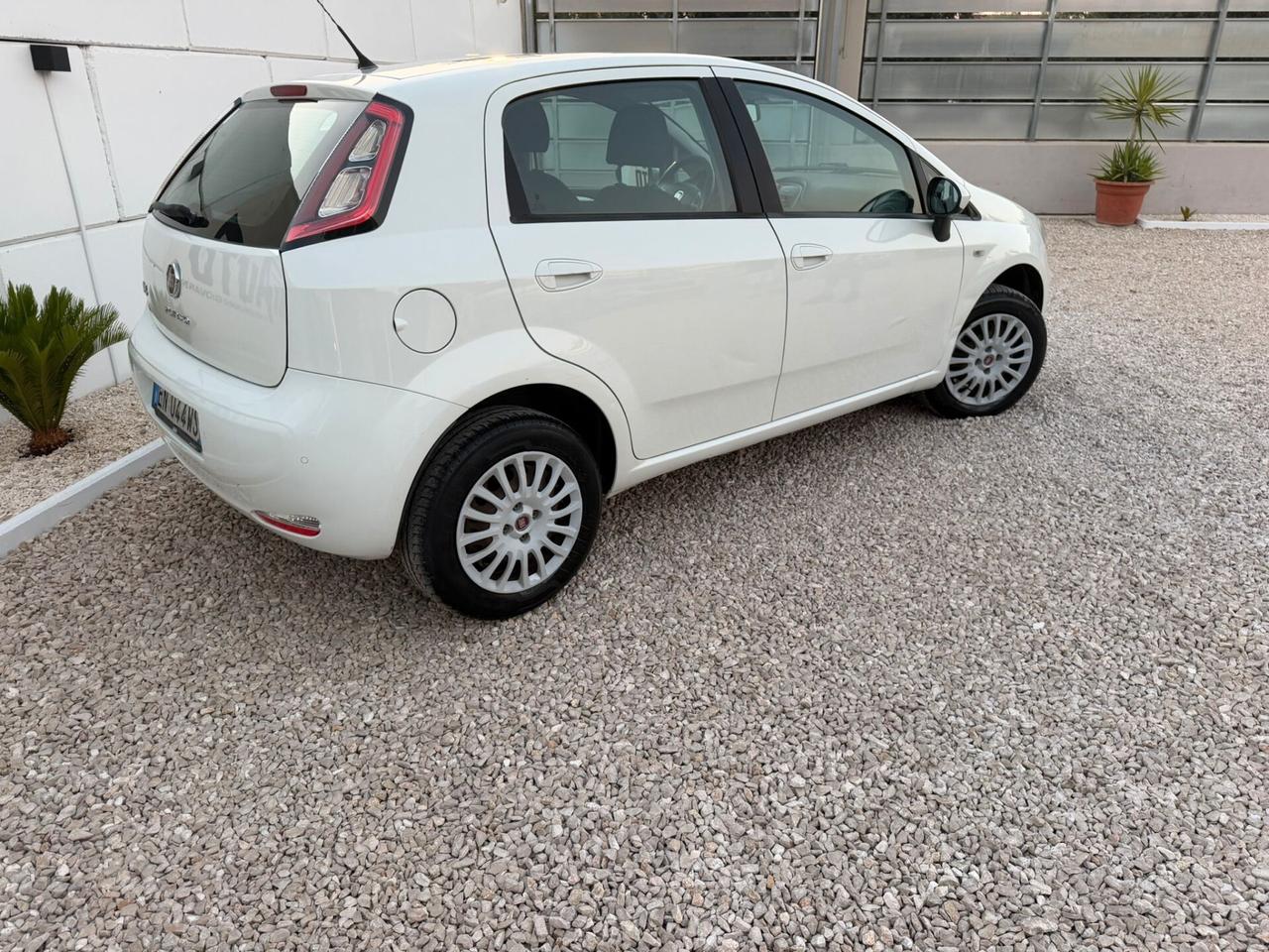 Fiat Punto 1.4 8V 5 porte Natural Power Lounge