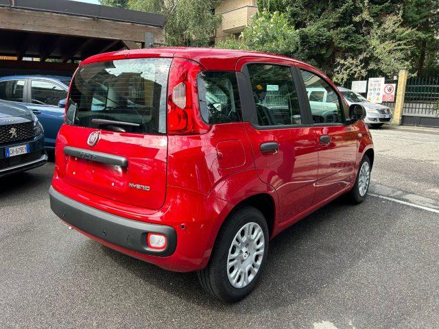 FIAT Panda 1.0 FireFly S&S *PREZZO PROMO*