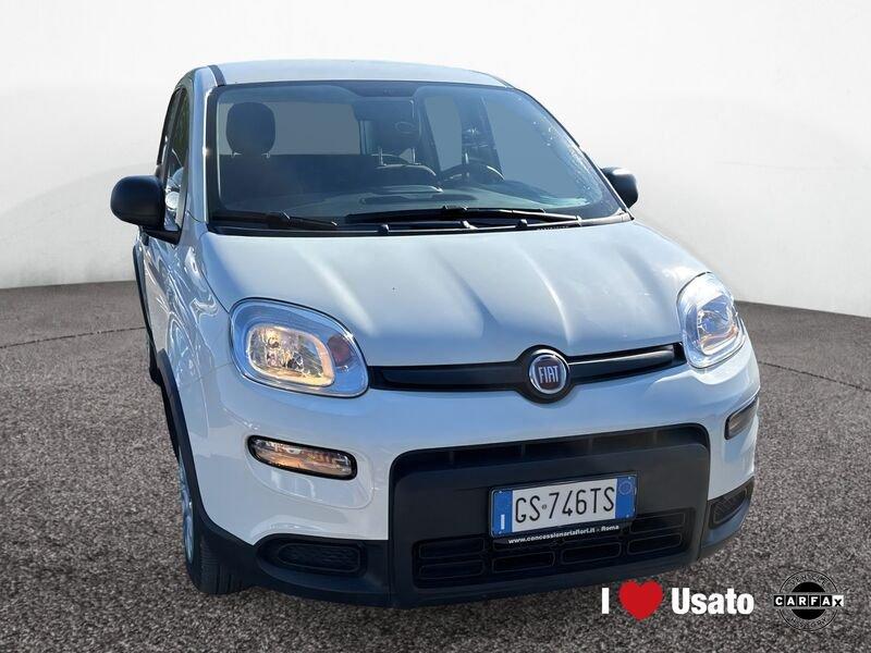FIAT Panda New My23 1.0 70cv Hybrid Panda