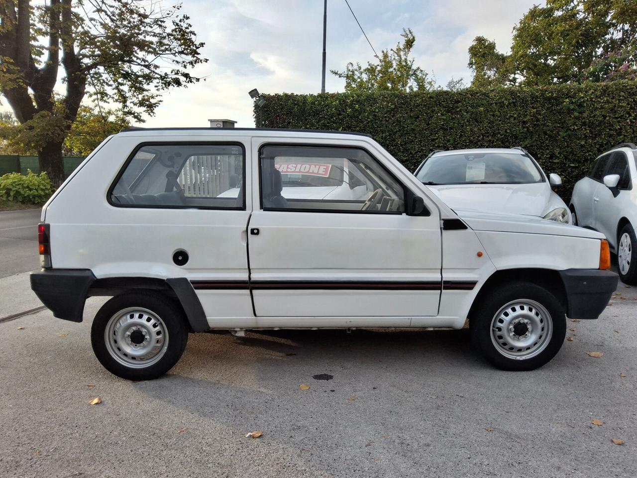 Fiat Panda 900 i.e. cat Young