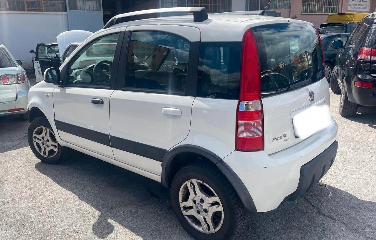 Fiat Panda 1.3 MJT 16V DPF 4x4 Climbing