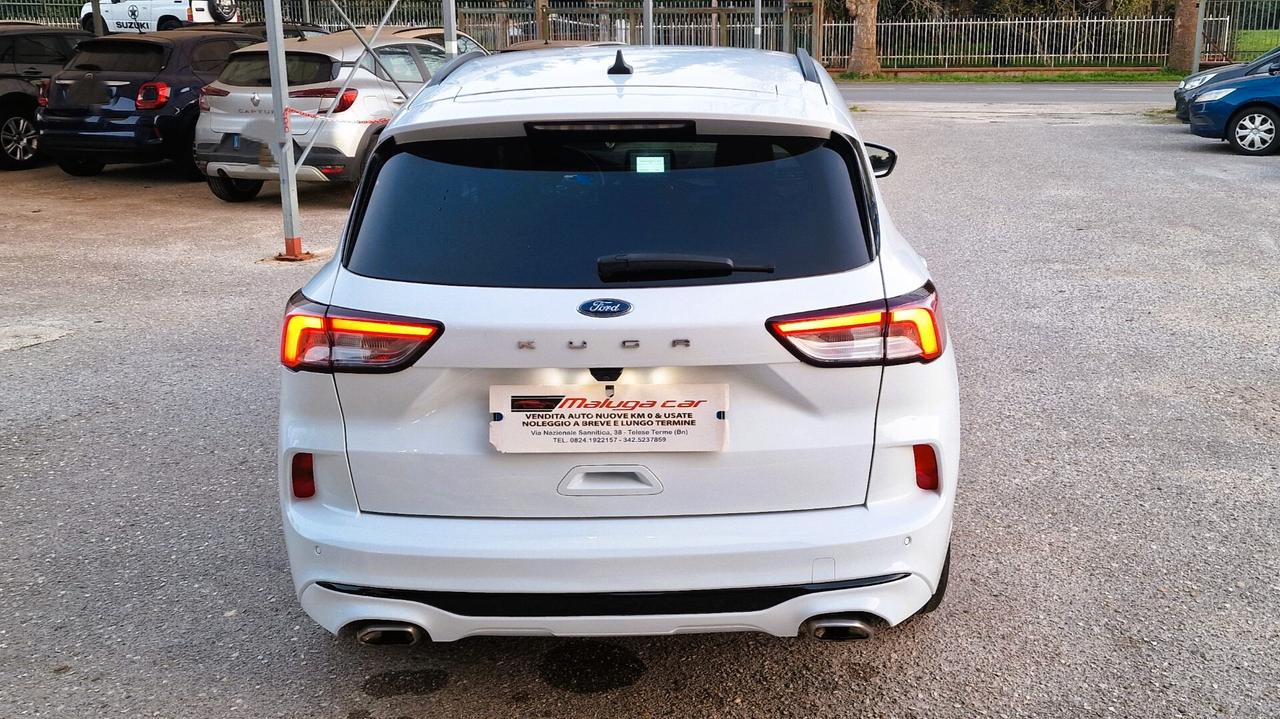 Ford Kuga 1.5 EcoBlue 120 CV 2WD ST-Line