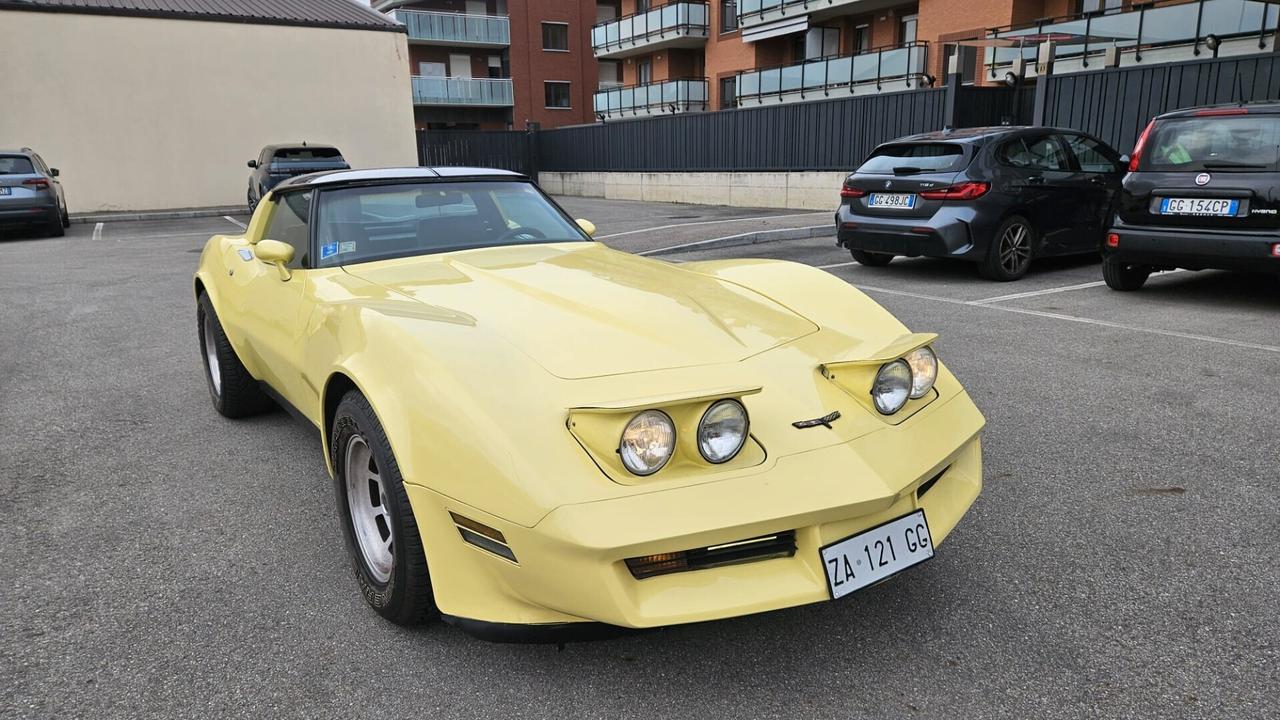 Corvette C3 T-Top