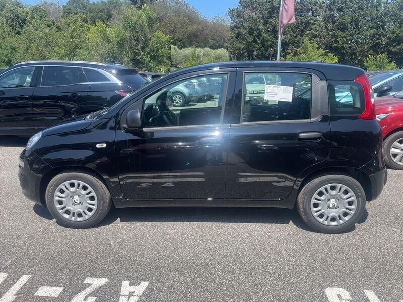 FIAT Panda New 1.0 70cv Hybrid Panda