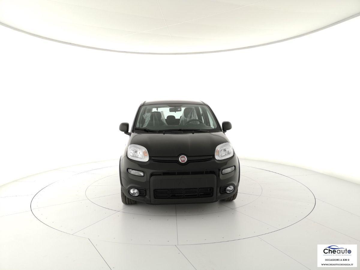 FIAT - Panda - 1.0 FireFly S&S Hybrid Launch Ed.