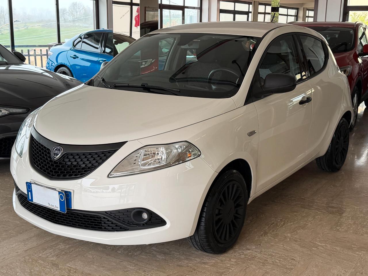 Lancia Ypsilon 1.2 69 cv. ELEFANTINO BLU