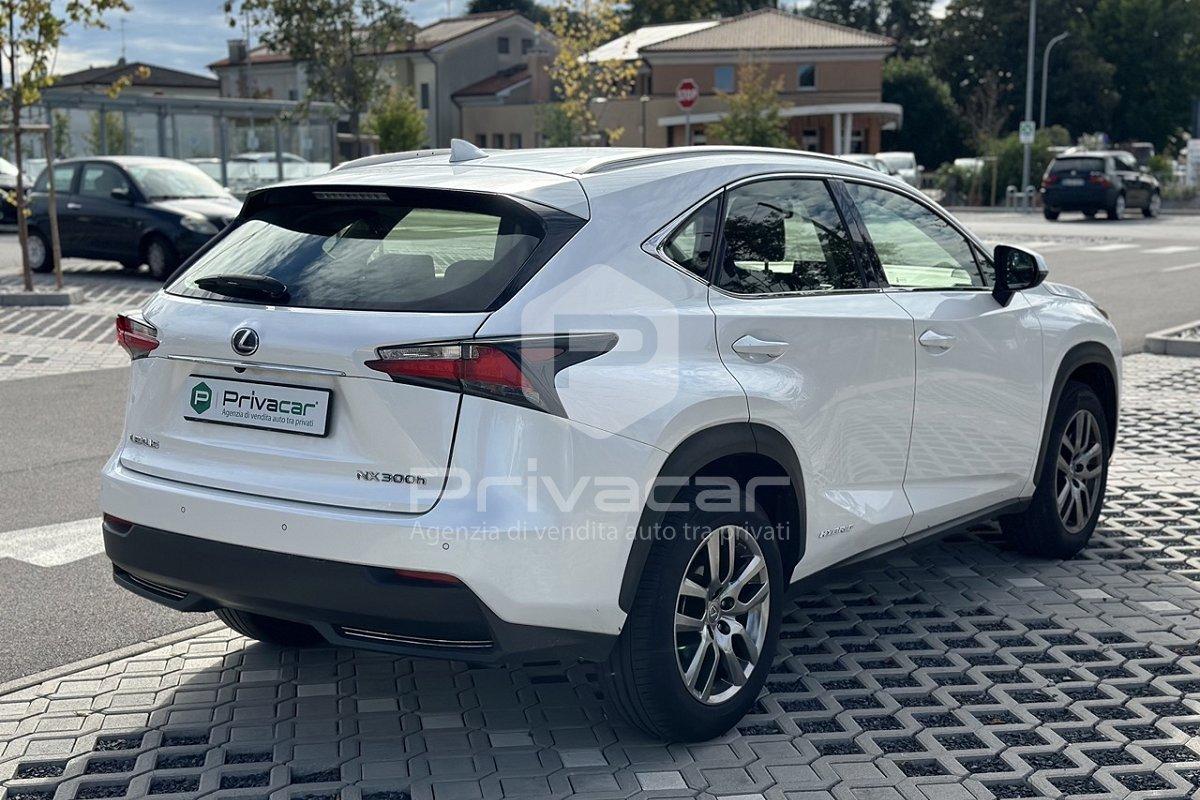 LEXUS NX Hybrid 4WD Executive