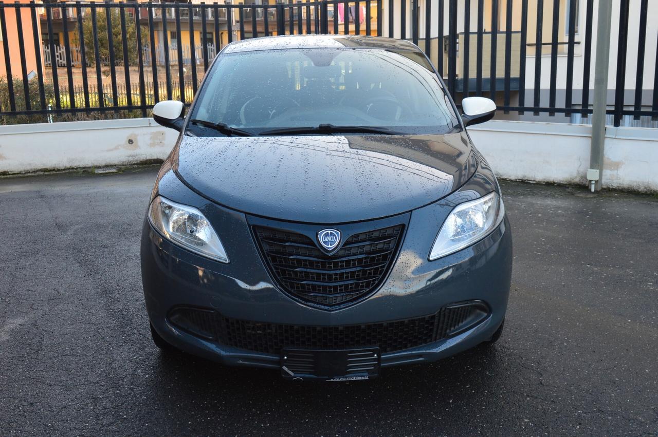Lancia Ypsilon 1.3 MJT 16V 95 CV 5 porte S&S Elefantino