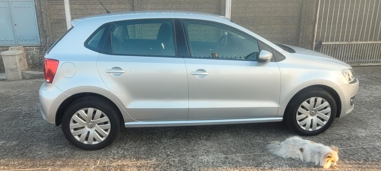 Volkswagen Polo 1.2 5 porte Trendline