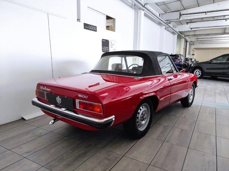 Alfa Romeo Spider 1600 CODATRONCA