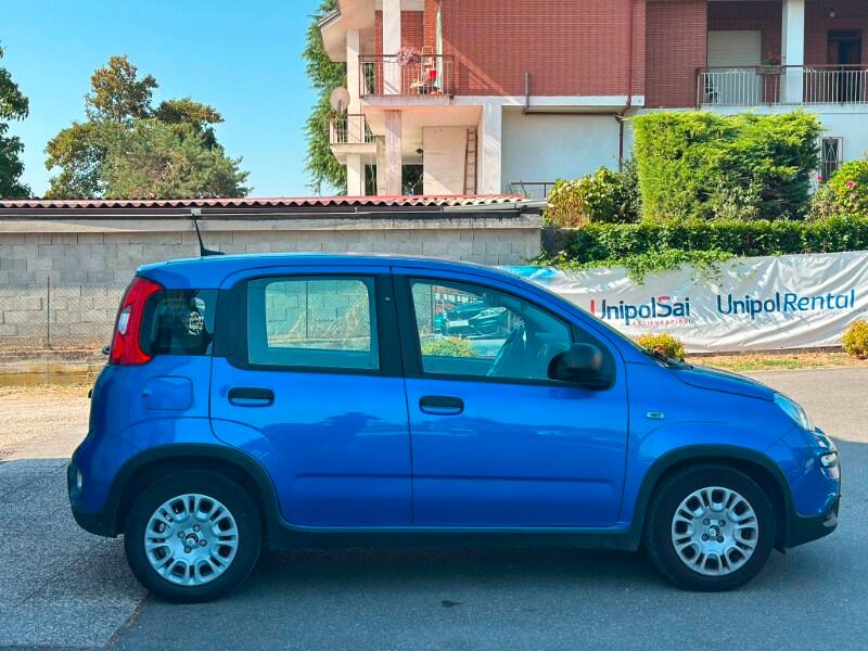 FIAT Panda 3ª serie Panda 1.0 FireFly S&S Hybr...