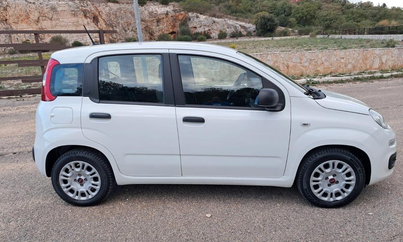 Fiat Panda 1.2 GPL EasyPower Easy (IVA ESPOSTA)